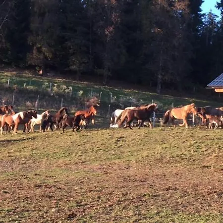 Reiterhof Kock * Feldkirchen in Kärnten
